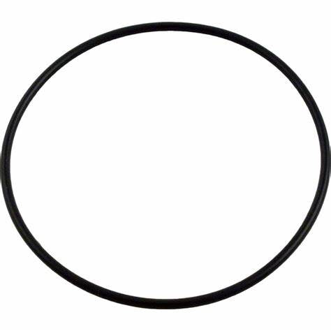 Aladdin O-497 Clean & Clear O-ring - Duckies Pool Supply