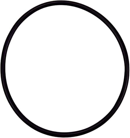 Pentair WhisperFlo® Diffuser O-Ring - Duckies Pool Supply
