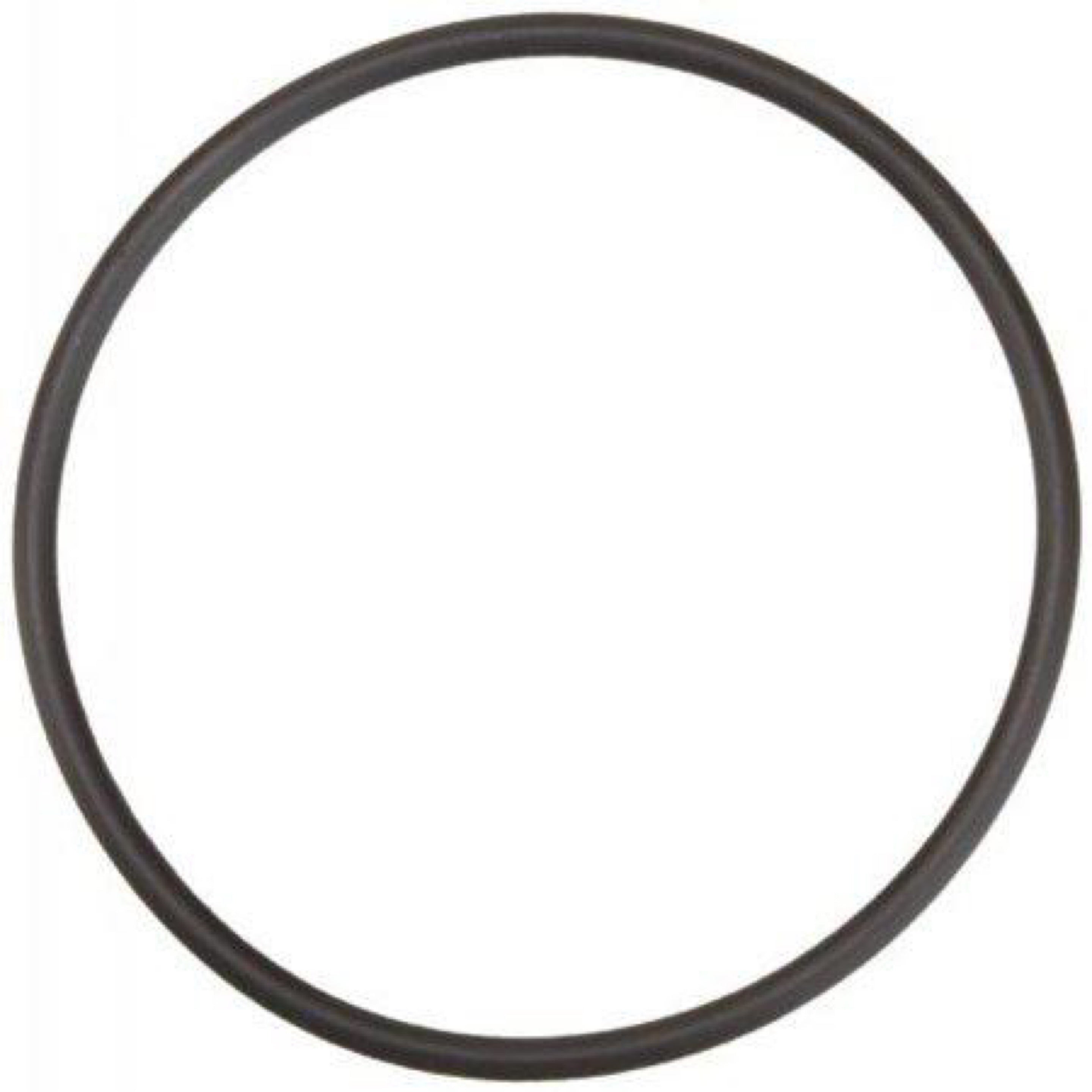 Aladdin O-24 Outlet Elbow O-Ring/ MicroClear™/ SwimClear™ O-Ring - Duckies Pool Supply
