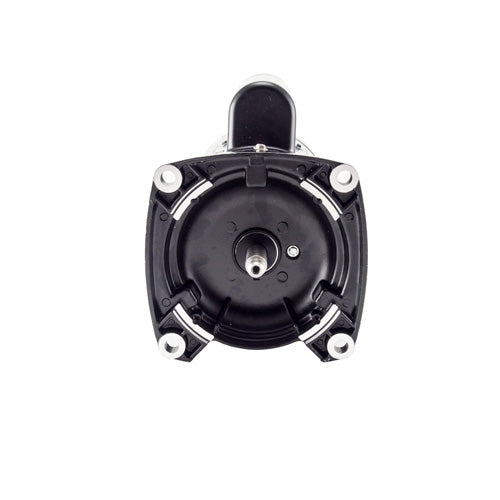 Century Centurion Series 2 HP 48Y Frame Motor SQ1202 Square Flange for Enhanced Pool Performance