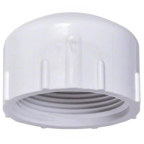 Pentair Drain Cap 154871 by Pentair
