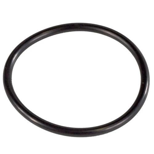 Pentair Pump To Filter Hose Assembly 155372 by Pentair