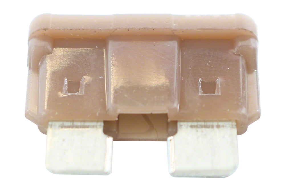 Raypak 5 Amp Replacement Fuse For 206A 266A 336A 406A