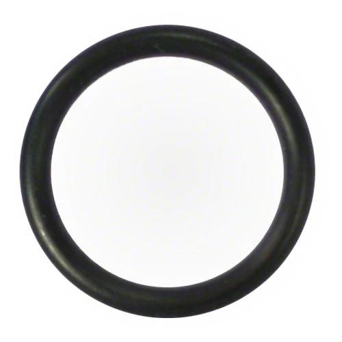 Pentair O-ring 192039Z by Pentair