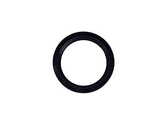 Sta-Rite Bulkhead Retaining Nut 24752-0050Z by Pentair