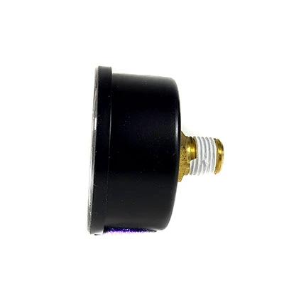 Sta-Rite Valve & Gauge Assembly 24850-0105 by Pentair