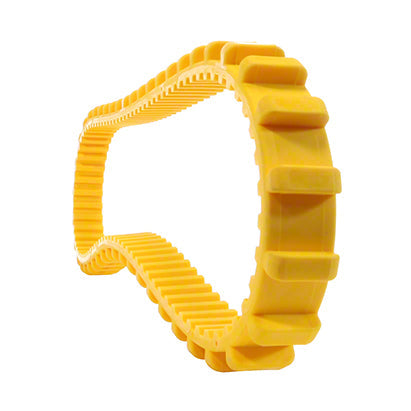 Dolphin Yellow Timing Track Pack Of 2 For Robotic Pool
