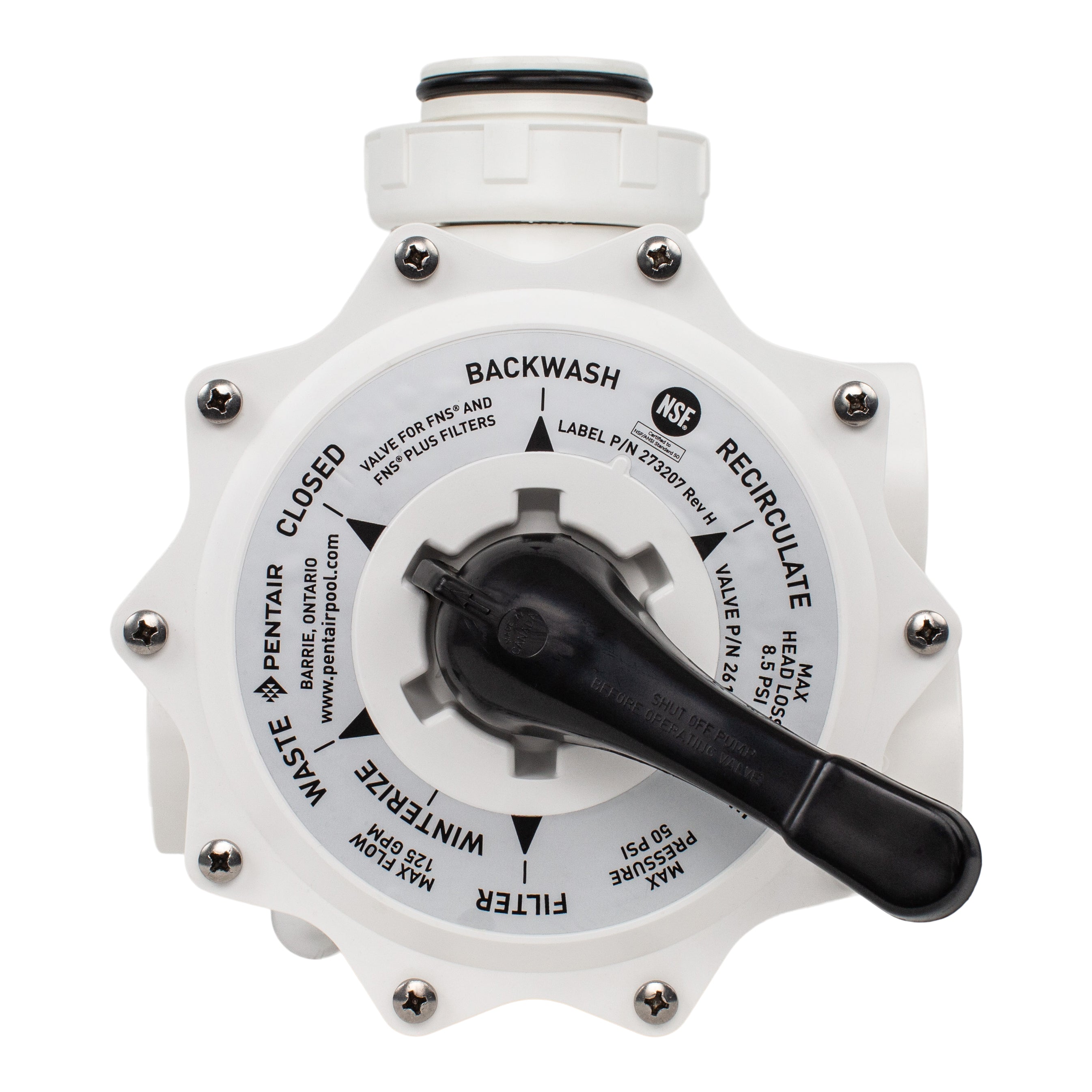 Pentair 261152 Multi Port Valve Kit for FNS and FNS Plus Pool Filters 2 Inch MPT