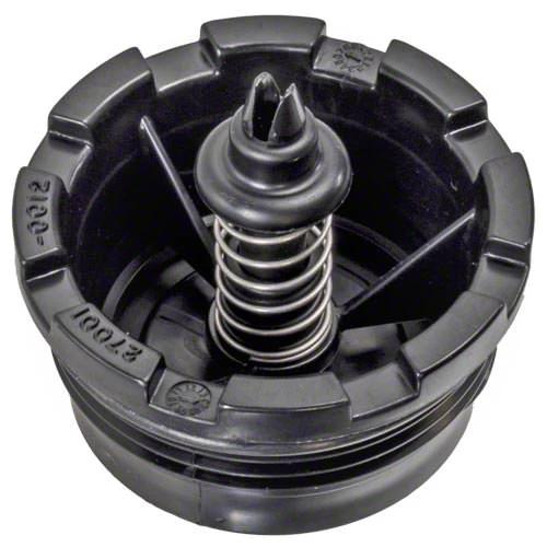 Sta-Rite Spring Check Valve 27001-0130S by Pentair