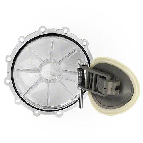 Pentair Check Valve Replacement Kit 270119Z by Pentair