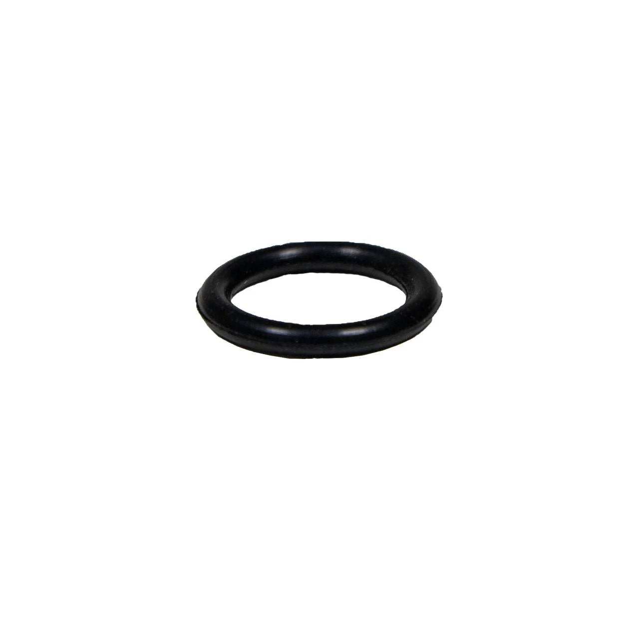 Pentair Drain Plug O-Ring 272573Z by Pentair