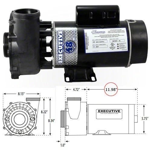Waterway Executive 4.5 HP 2 Speed 48 Frame 230 Volt Pump 3421821-1A by Waterway