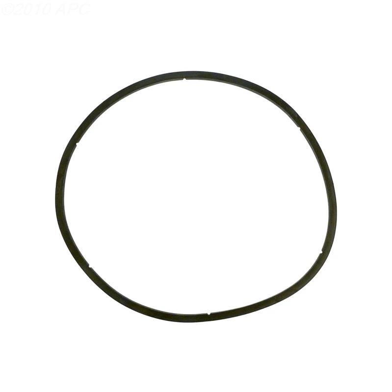 Pentair Gasket Lid 350166Z by Pentair