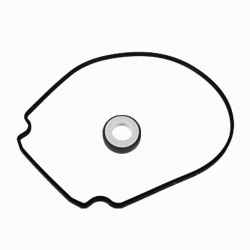 Pentair Seal Plate Kit 350199 by Pentair