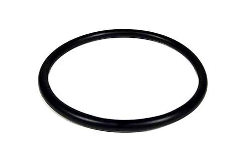 Pentair O-Ring 35505-1425Z by Pentair