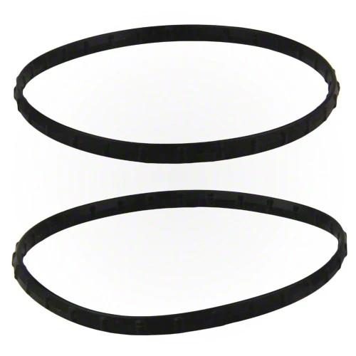Pentair Union Diamond Seal Kit 410016Z - Set of Two by Pentair