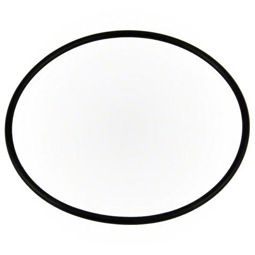 Pentair Diverter Valve O-Ring 51016200Z by Pentair