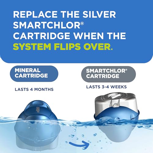 FROG @Ease Floating System for Swim Spas with 1 Pack of FROG Kick-It - Quick & Easy Self-Regulating Swim Spa Sanitizer - Swim Spa Maintenance System with Sanitizing Minerals & SmartChlor Technology|B0DQ63718M