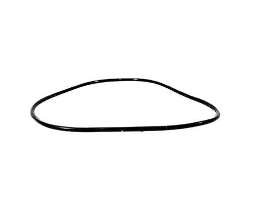 Pentair O-Ring 590118Z by Pentair