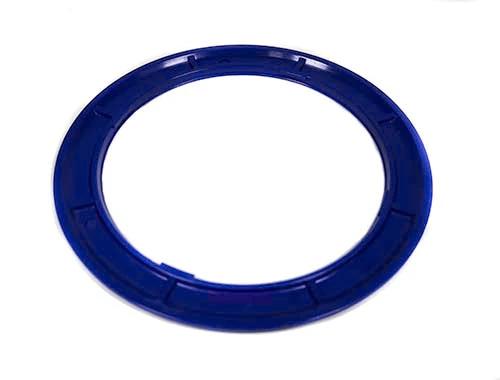 Pentair Color Ring 590128Z by Pentair