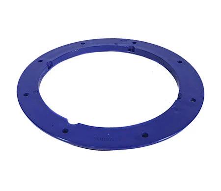 Pentair Color Lock Ring 590132Z by Pentair