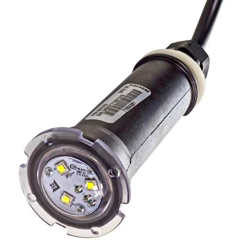 Pentair GloBrite White LED Light 602104 - 100 Foot Cord by Pentair