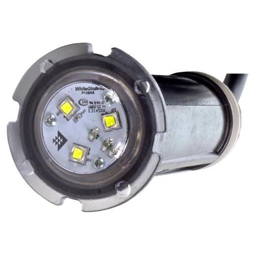 Pentair GloBrite White LED Light 602103 - 50 Foot Cord by Pentair