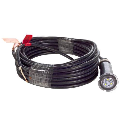 Pentair GloBrite White LED Light 602104 - 100 Foot Cord by Pentair