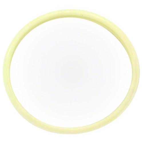 Pentair IntelliBrite 5g Light Lens and Gasket 619864Z by Pentair