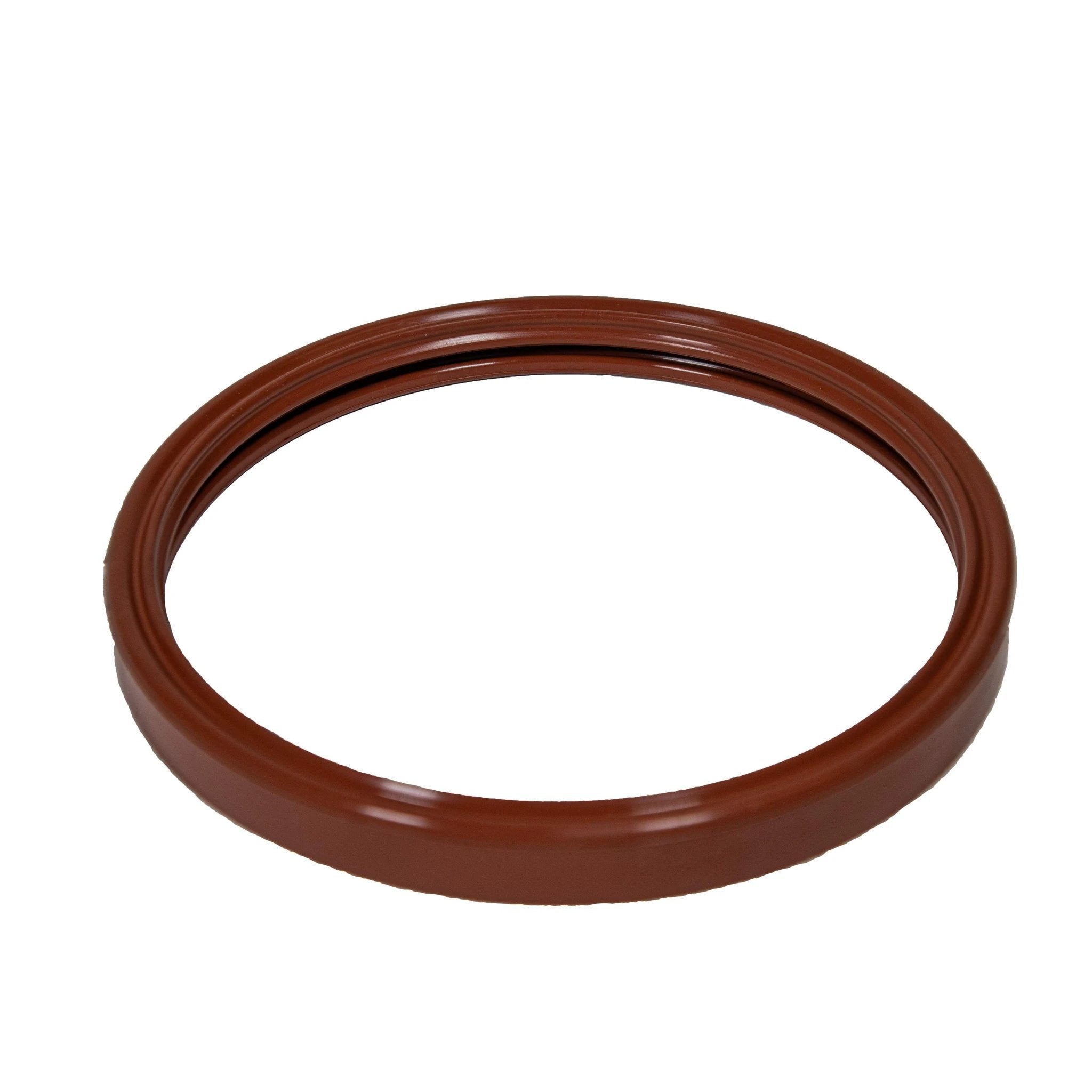Pentair Light Gasket 620400Z by Pentair