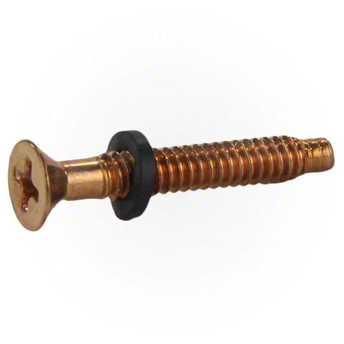 Pentair Brass Pilot Screw with Washer 79104800Z by Pentair