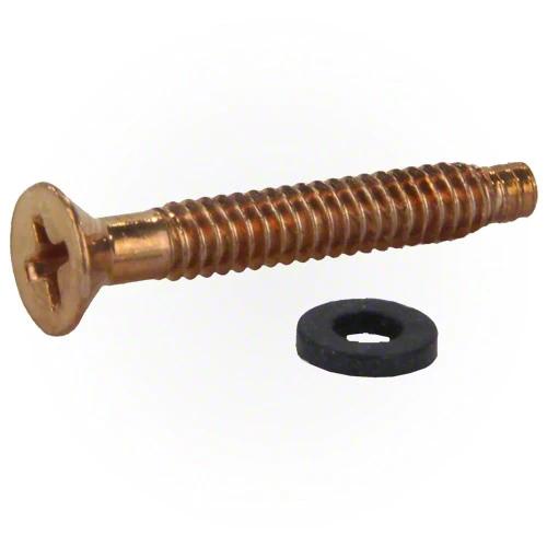 Pentair Brass Pilot Screw with Washer 79104800Z by Pentair