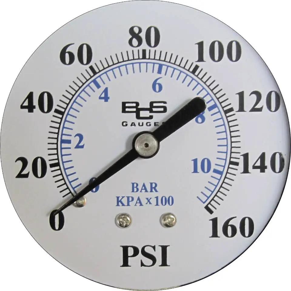 Press.Gauge,0-60 Psi,1/4In Bt.Mt,2In St. | BIGPN200 by Duckies Pool Supply