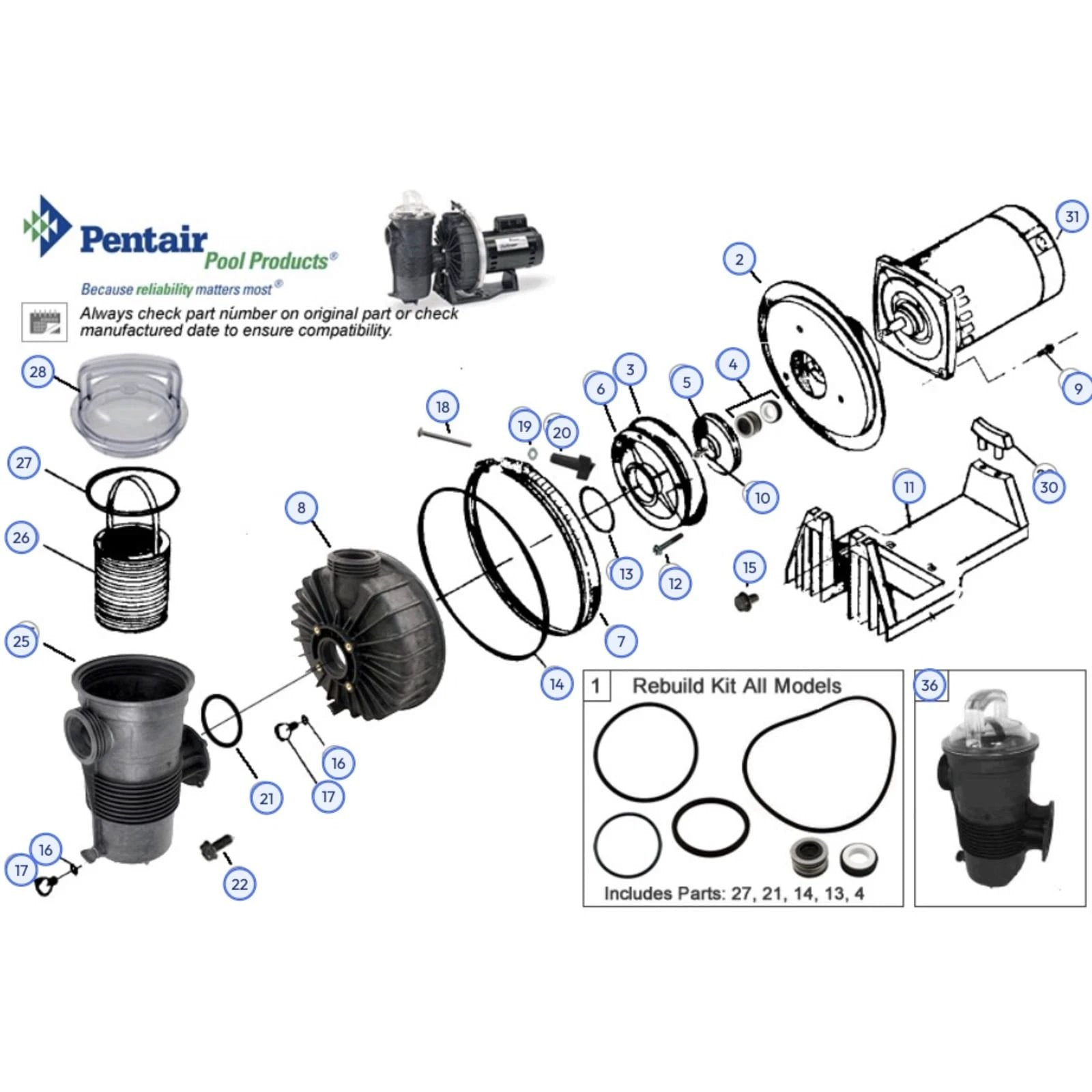 CMP Pentair 355318 Challenger Pump Basket Replacement, Heavy Duty by Duckies Pool Supply