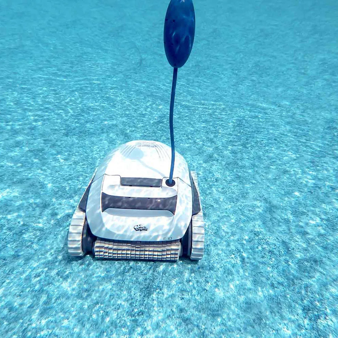 Dolphin E10