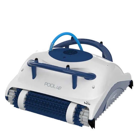 Dolphin Nautilus Pool Up