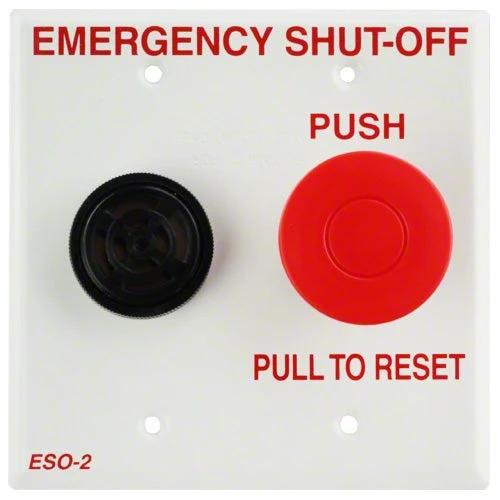 Pentair Shut-Off Switch with Alarm ESO2 by Pentair
