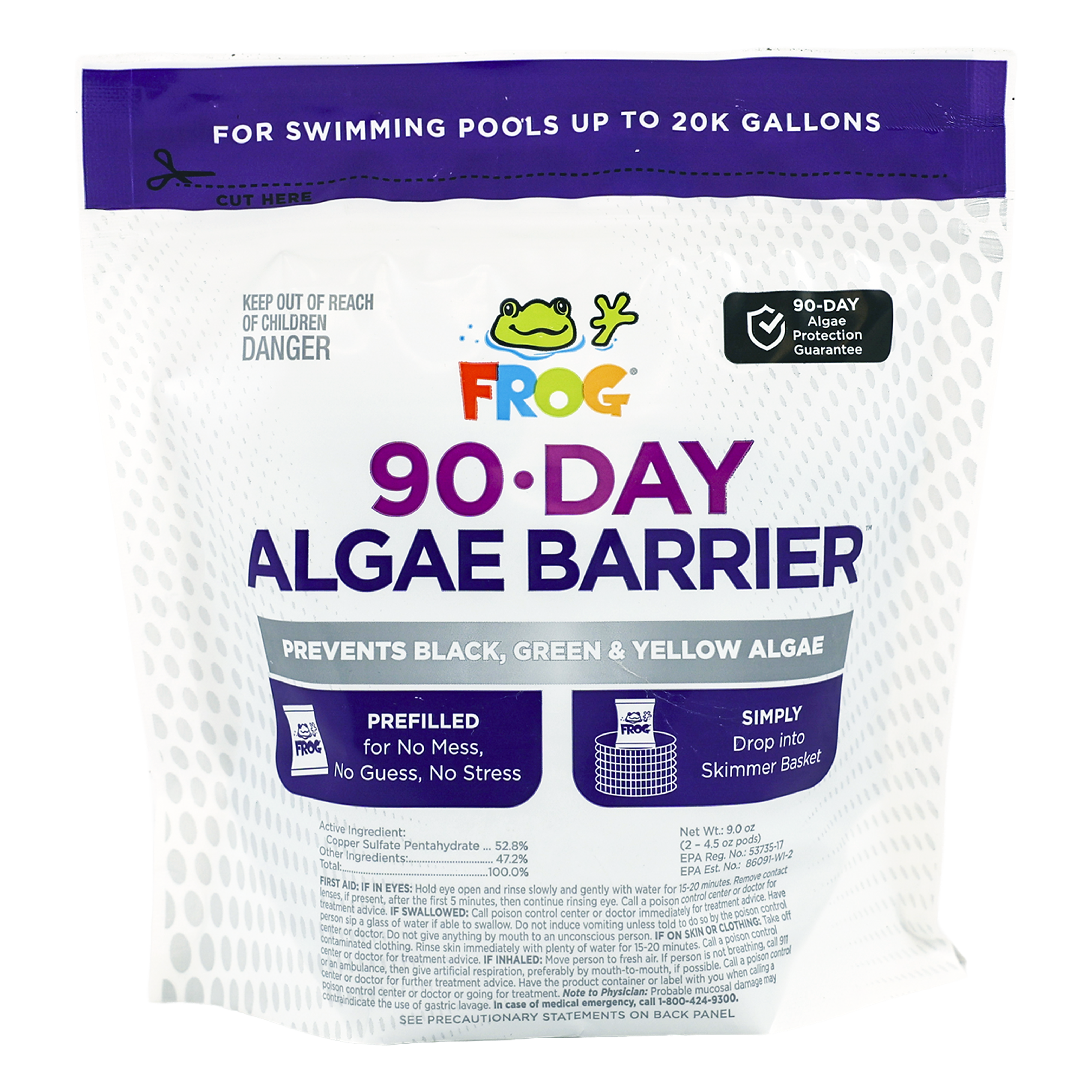 Frog 90 Day Copper Algaecide For Pool Algae Prevention Clarity by Frog