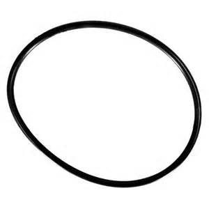 Hayward Viton Cover O-Ring | CLX200K by Hayward
