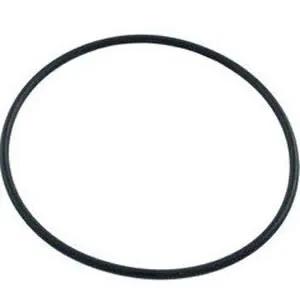 Hayward Micro Star-Clear Tank O-Ring | CX120D by Hayward