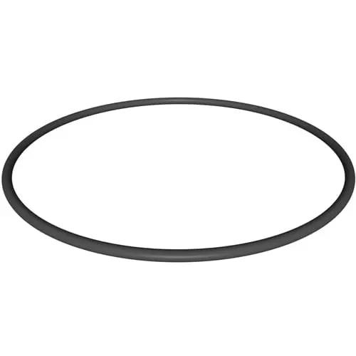 Hayward Filter Head O-Ring | CX900F by Hayward
