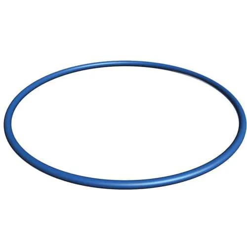Hayward Valve/Tank O-Ring | GMX600F by Hayward