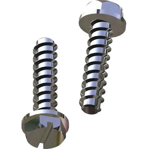 Hayward Mounting Foot Cap Screw, 2/Pack | SPX1600Z52 by Hayward