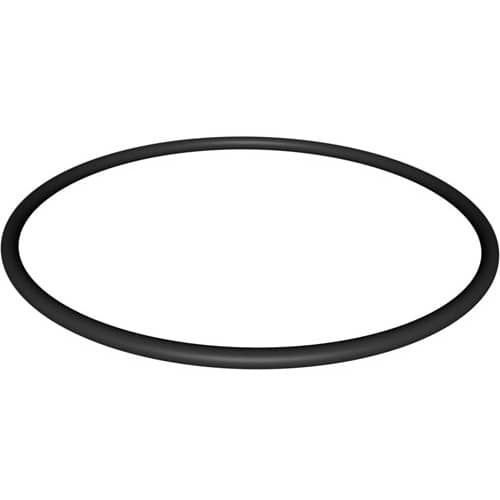 Hayward NorthStar Strainer Cover O-Ring | SPX4000S by Hayward