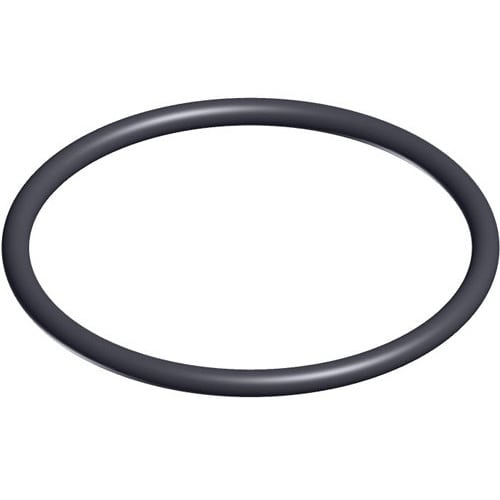 Hayward Valve O-Ring, 2/Pack | SX200Z4PAK2 by Hayward