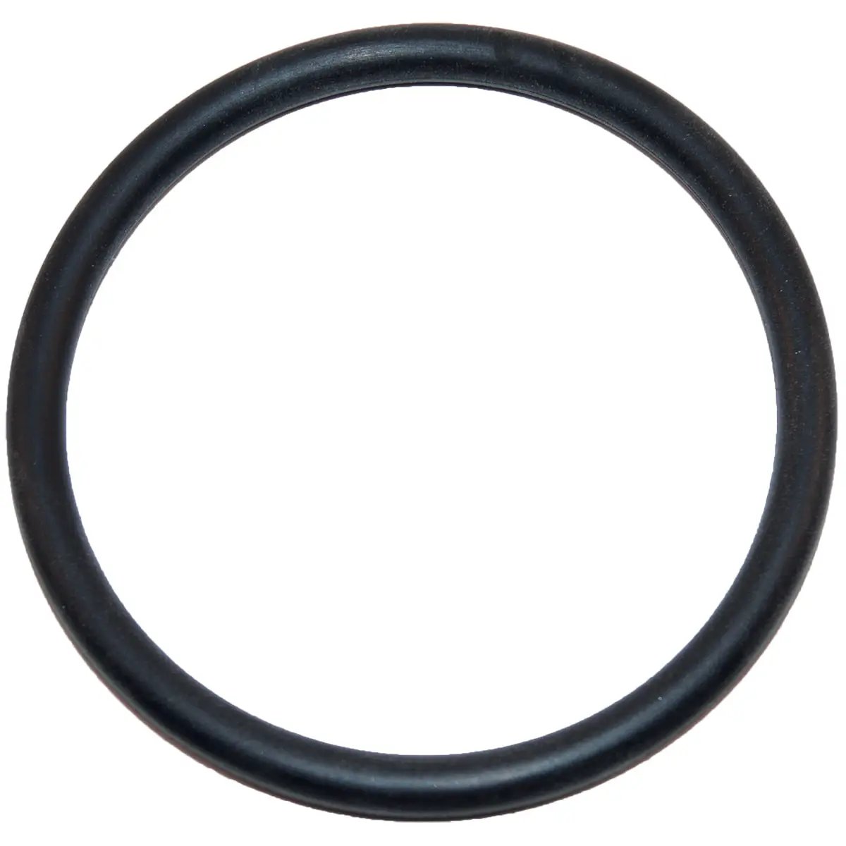 Hayward Large O-Ring | SX220Z2 by Hayward