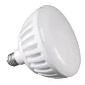 Bulb - Purewhite Pro Led Pool Cool White , 120V (300W/400W) | LPL-PR2-CW-120 by JJElectronics