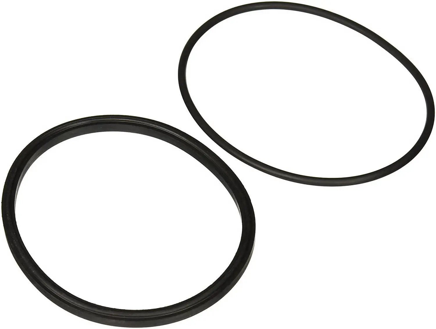 Jandy Pro Series Lid Seal & O-Ring | R0449100 by Jandy
