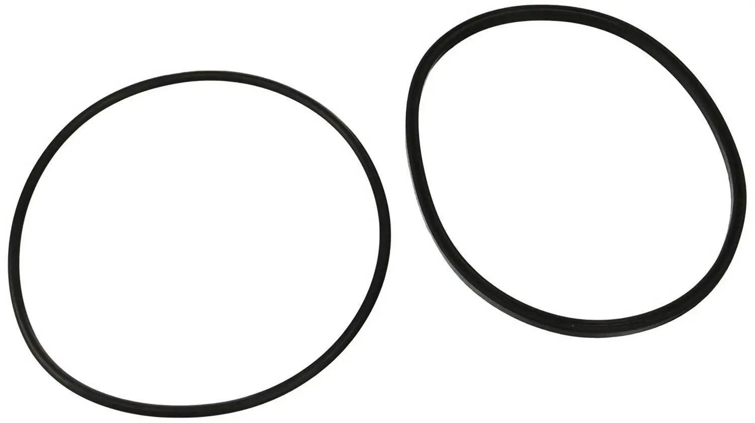 Jandy Pro Series FHP Lid O-Ring | R0480200 by Jandy