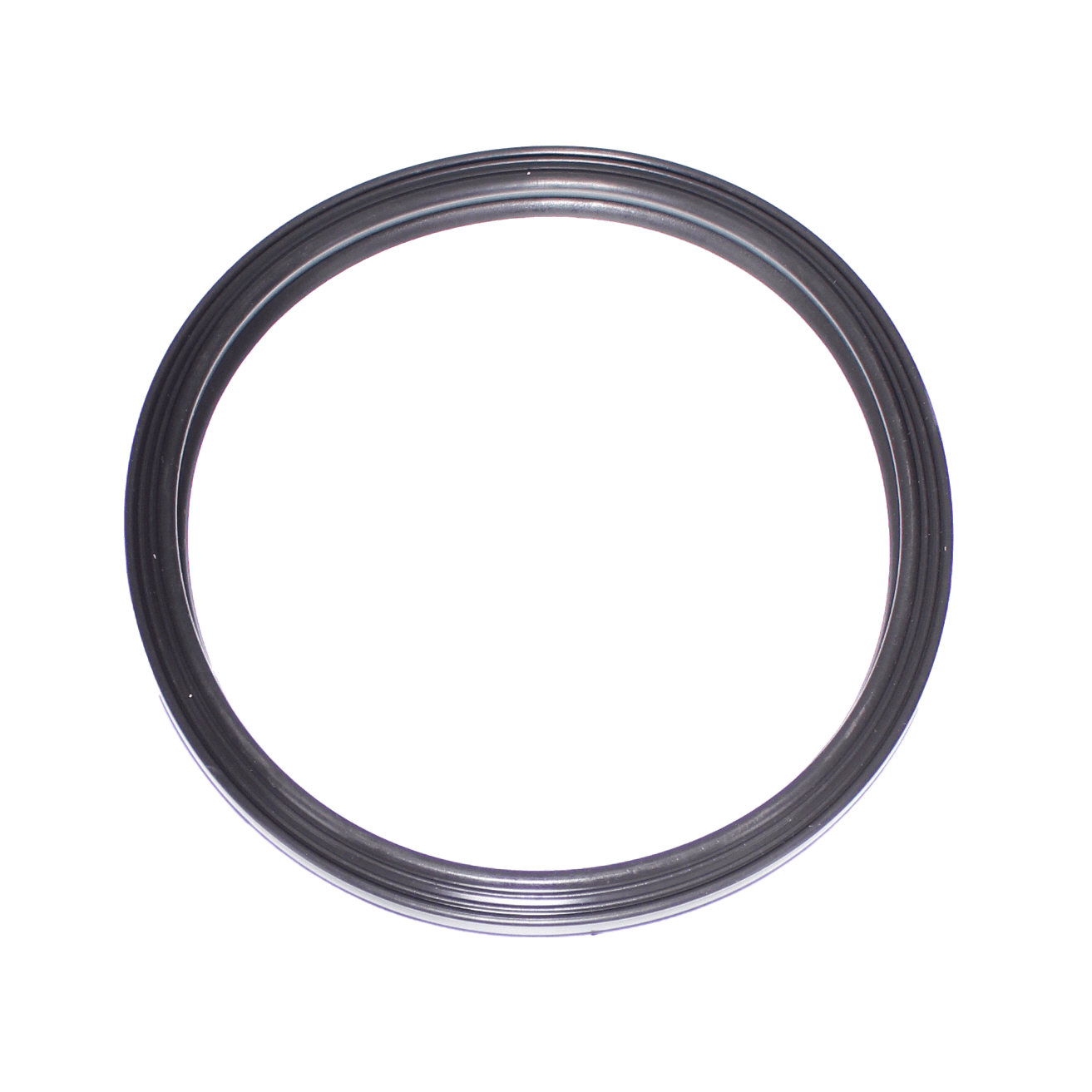 Jandy Pool Light Gasket, Silicon | R0790500 by Jandy